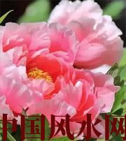 马鞍山预示你财运上升，姻缘可成的梦境，快来看看吧！