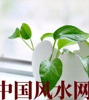 马鞍山家中摆放六种吉祥物，会打开您的财运大门！